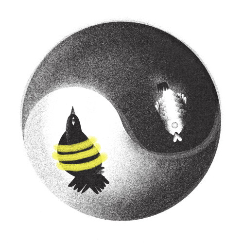 YinYang_wednesday.png