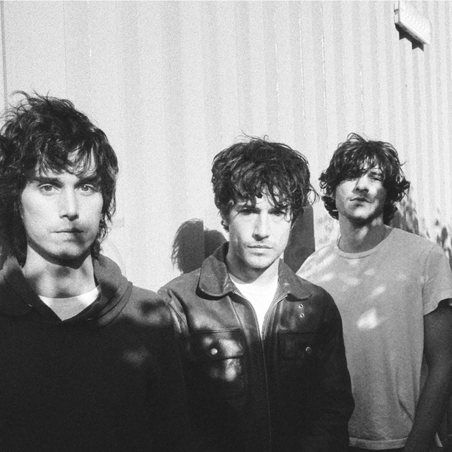 Wallows